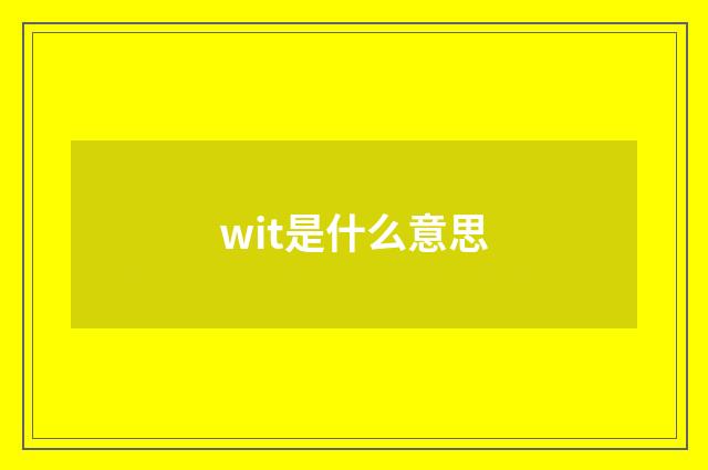wit是什么意思