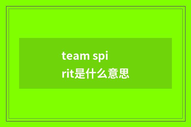 team spirit是什么意思