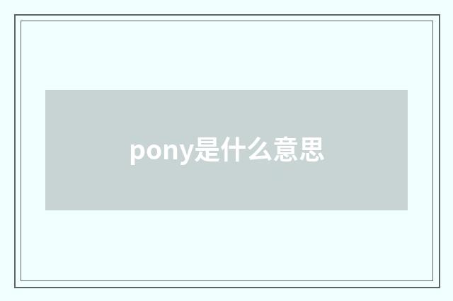 pony是什么意思