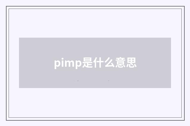 pimp是什么意思