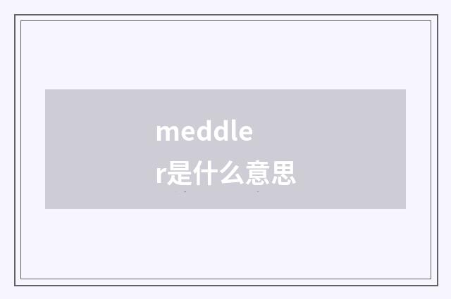 meddler是什么意思
