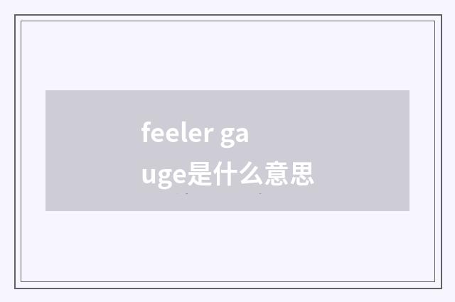 feeler gauge是什么意思