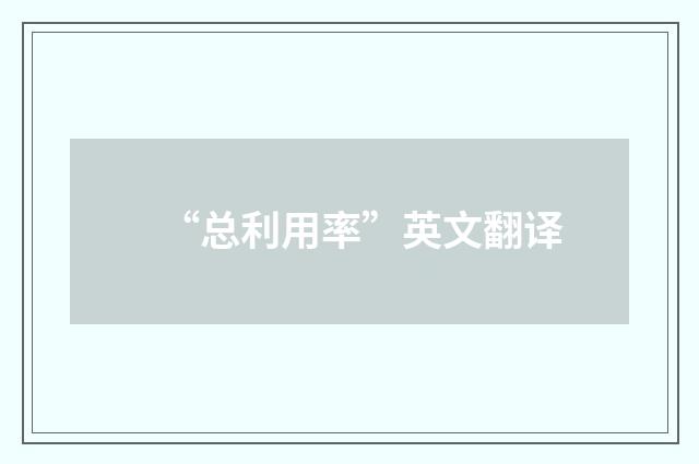 “总利用率”英文翻译