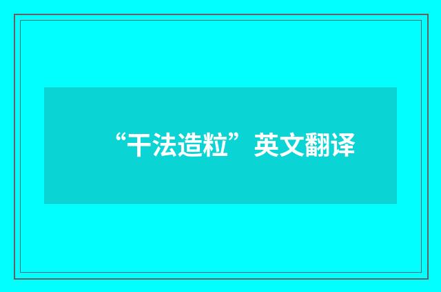 “干法造粒”英文翻译