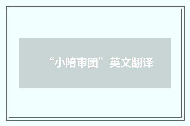 “小陪审团”英文翻译