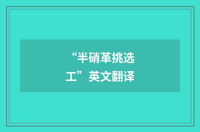 “半硝革挑选工”英文翻译