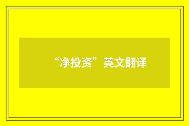 “净投资”英文翻译