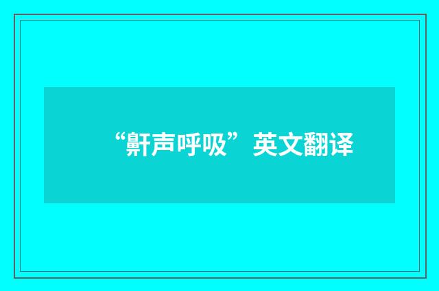 “鼾声呼吸”英文翻译