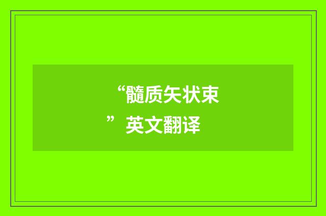 “髓质矢状束”英文翻译