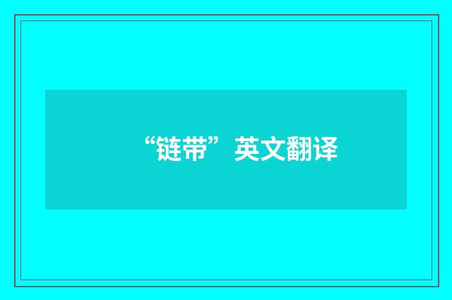 “链带”英文翻译