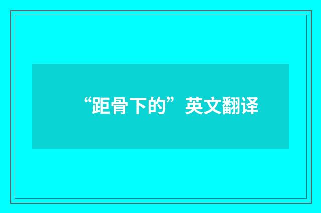 “距骨下的”英文翻译