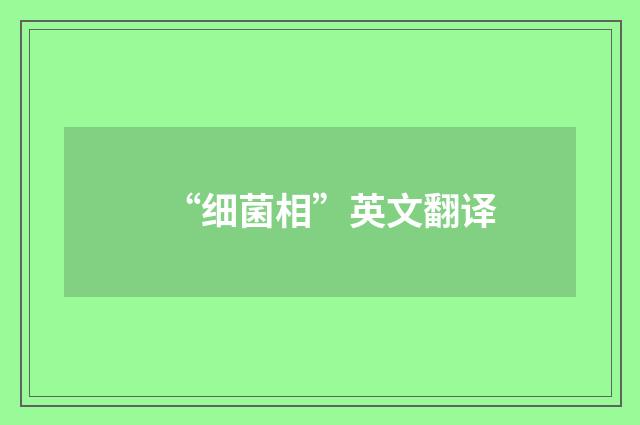 “细菌相”英文翻译