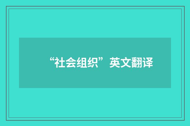 “社会组织”英文翻译