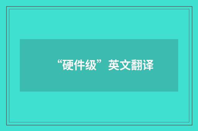 “硬件级”英文翻译