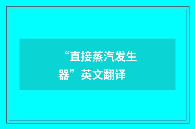 “直接蒸汽发生器”英文翻译