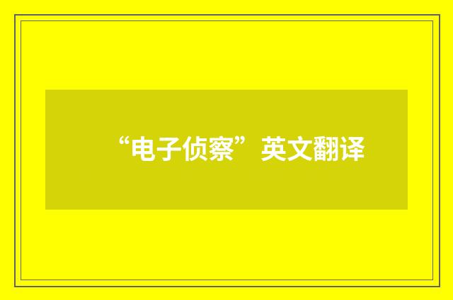“电子侦察”英文翻译