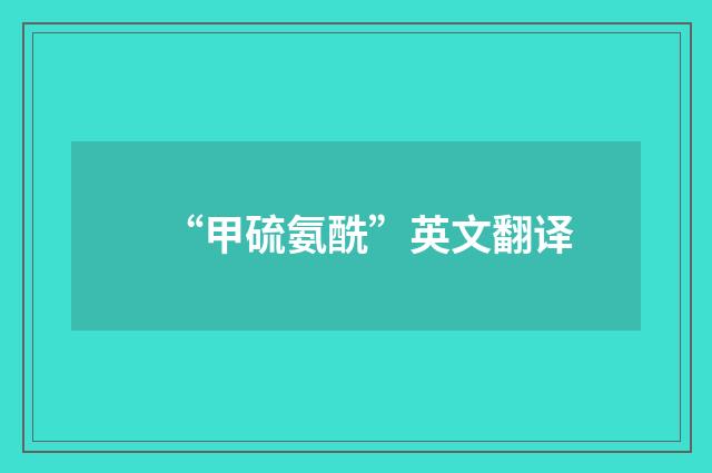 “甲硫氨酰”英文翻译