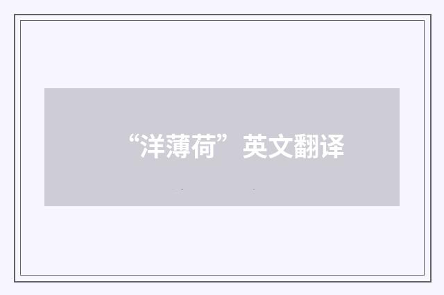 “洋薄荷”英文翻译