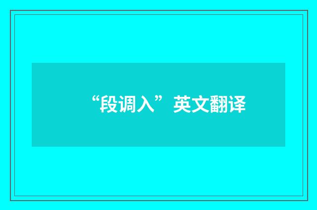 “段调入”英文翻译