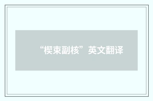 “楔束副核”英文翻译