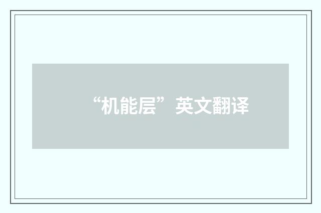 “机能层”英文翻译
