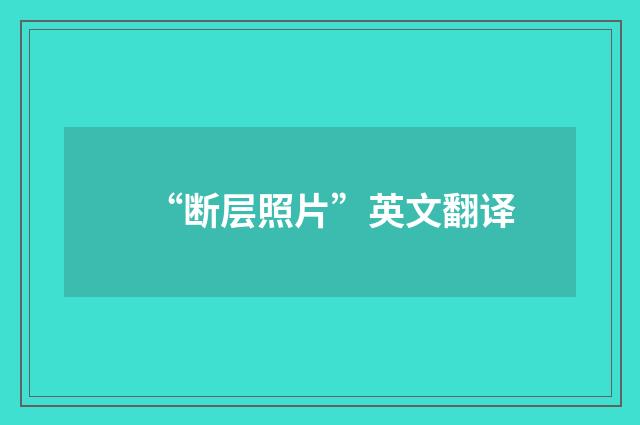 “断层照片”英文翻译