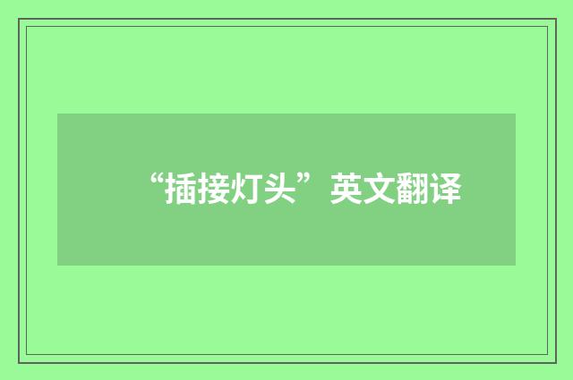 “插接灯头”英文翻译