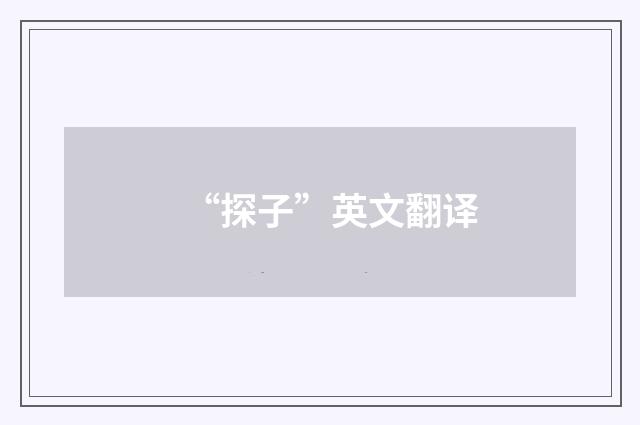 “探子”英文翻译