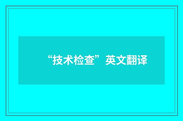 “技术检查”英文翻译