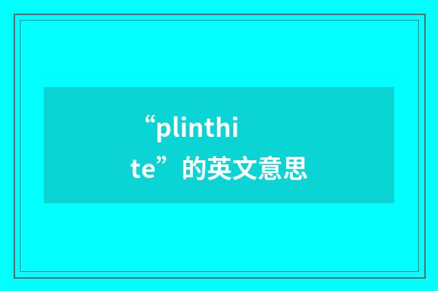 “plinthite”的英文意思
