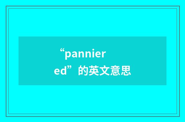 “panniered”的英文意思