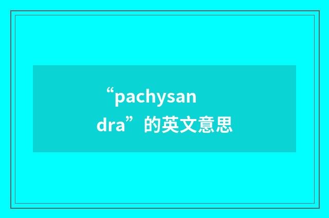 “pachysandra”的英文意思