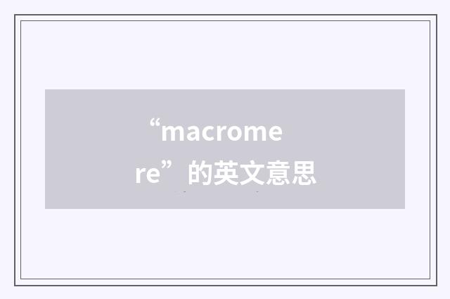 “macromere”的英文意思