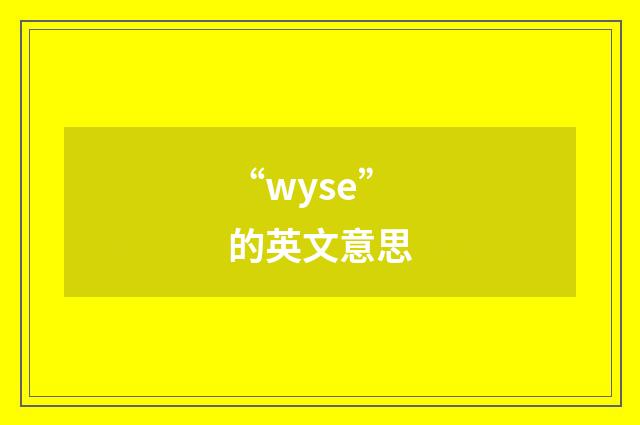 “wyse”的英文意思