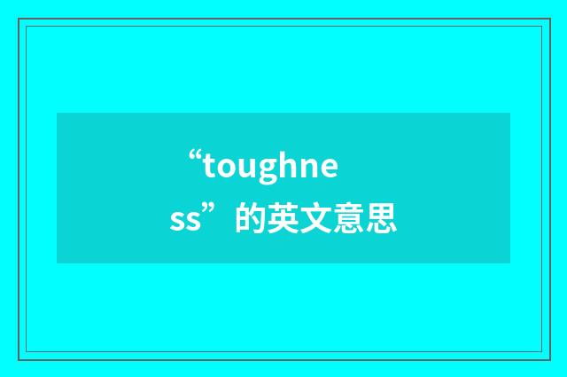 “toughness”的英文意思