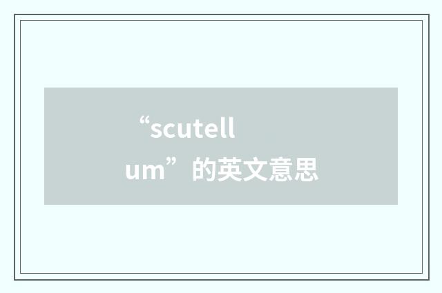 “scutellum”的英文意思