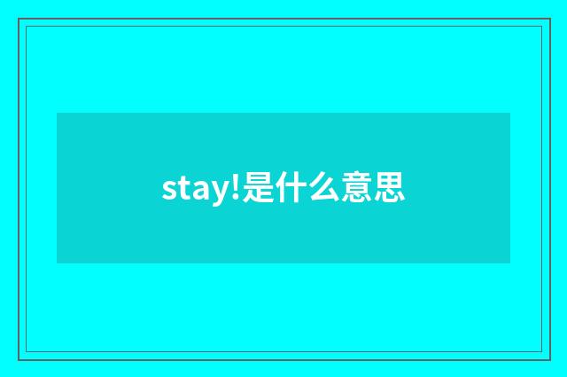 stay!是什么意思
