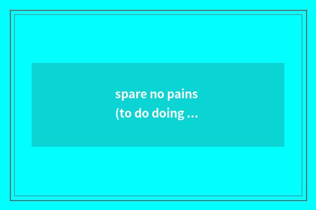 spare no pains (to do doing sth)是什么意思