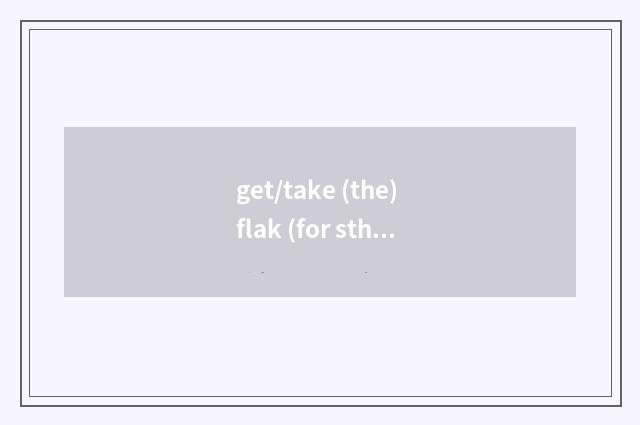 get/take (the) flak (for sth)是什么意思