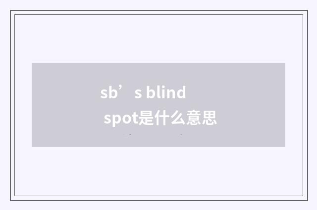 sb’s blind spot是什么意思