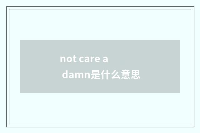 not care a damn是什么意思
