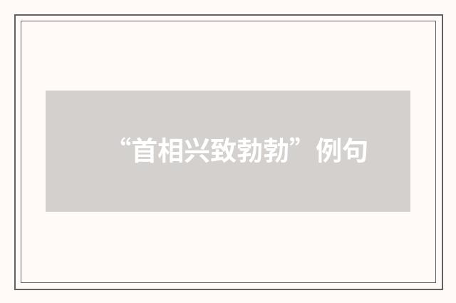 “首相兴致勃勃”例句