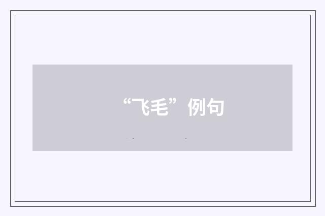 “飞毛”例句