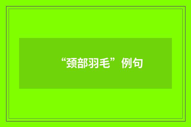 “颈部羽毛”例句