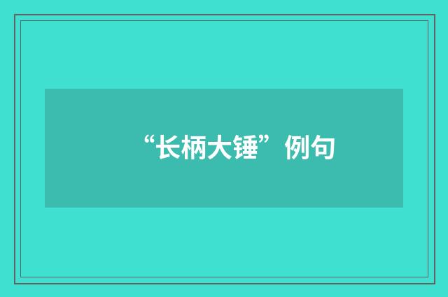 “长柄大锤”例句