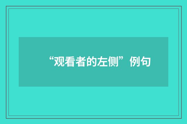 “观看者的左侧”例句