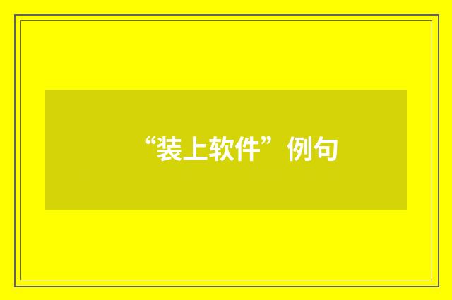 “装上软件”例句