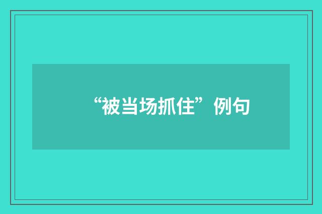 “被当场抓住”例句