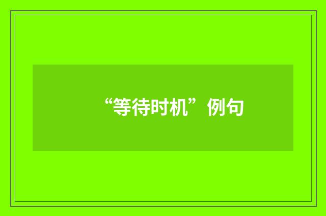 “等待时机”例句