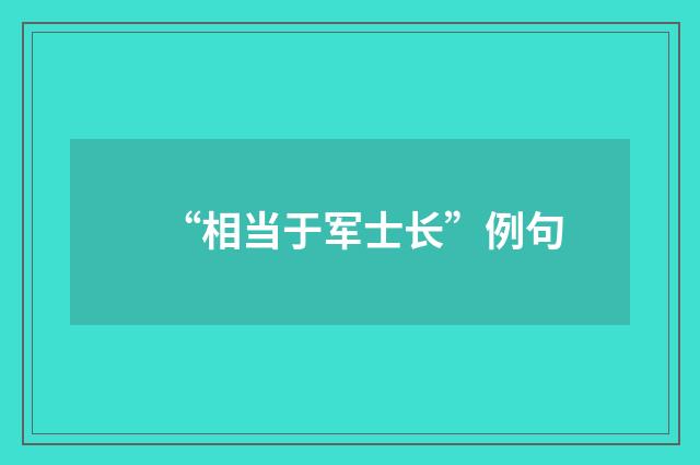 “相当于军士长”例句